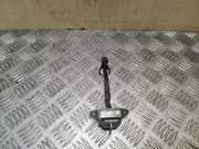 Türanschlag hinten rechts NISSAN X-TRAIL (T31) 2.0 dCi