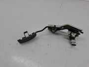 Gaspedal NISSAN X-TRAIL (T30) 2.2 dCi 4x4 5B02
