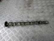 Auspuffkrümmer Audi Q5 (8R) 03L115