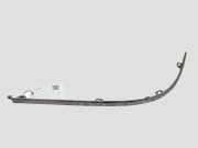 Stoßstangenierleiste hinten links JAGUAR S-TYPE (X200) 2.7 D 4R8317C773DBW