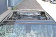 Dach mit Sonnendachausschnitt BMW 6er Gran Coupe (F06)