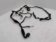 Kabel Tür Citroen C4 II Picasso () 9806361880