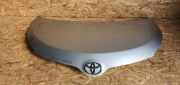 Motorhaube Toyota Urban Cruiser (P1)