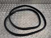 Türgummi links vorne BMW X6 (F16, F86) 7317811