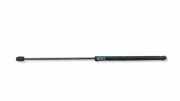 Heckklappe Gasdruckfeder links LAND ROVER RANGE ROVER EVOQUE (L538) 2.2 D 4x4 BJ32406A10AB