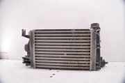 Ladeluftkühler DACIA SANDERO III 1.0 TCe 90 144968819R