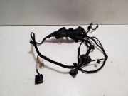 Türverkabelung hinten rechts FORD GALAXY III (CK) 2.0 TDCi G1GT14632ECC