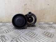 Riemenspanner NISSAN JUKE (F15) 1.5 dCi 117503662R