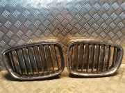 Gitter BMW 5 Gran Turismo (F07) 530 d 7200167 7200168