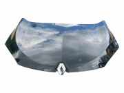 Motorhaube RENAULT MEGANE II (BM0/1_, CM0/1_) 1.5 dCi (BM0F, CM0F) 651220005R