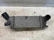 Ladeluftkühler Peugeot 407 SW () 9645682880