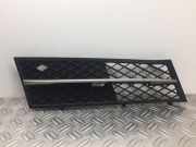 Kühlergrill unten BMW 5er (F10) 7200700