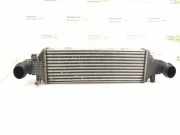 Ladeluftkühler MERCEDES-BENZ E (W212) E 220 BlueTEC 4-matic (212.011) A2045000200 2045000200