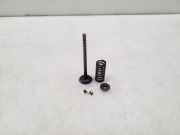 Auslassventil Nissan Qashqai (J10)