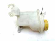 Behälter Servolenkungspumpe FIAT FIORINO Furgon/Estate (225_) 1.3 D Multijet 51787169