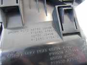 Salonlufteinlassgitter NISSAN X-TRAIL (T31) 2.0 dCi 68750JG00B