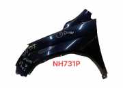 Kotflügel vorne links HONDA CR-V III (RE_) 2.2 i-DTEC 4WD (RE6)