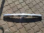 Kennzeichenbeleuchtung RENAULT LAGUNA Coupe (DT0/1) 1.5 dCi 848100004R
