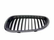 Gitter Grill vorne links BMW 5 Touring (E61) 520 d