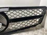 Vorderer oberer Gitter MERCEDES-BENZ C (W204) C 220 CDI (204.002)