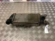 Ladeluftkühler Fiat 500 (312) 878350000