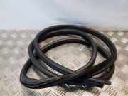 Türgummi rechts hinten BMW 3er Touring (E46)