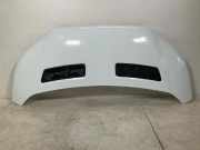 Motorhaube FORD TRANSIT 2.0 TDCi 2485550