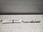 Türairbag vorne rechts MERCEDES-BENZ SL (R231) 500 (231.473) 2318601602