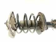 Stoßdämpfersatz Vorderachse Peugeot Expert II Kasten (VF)