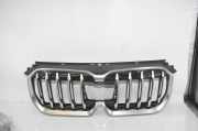 Gitter BMW iX1 (U11 BEV) xDrive 30 9880301