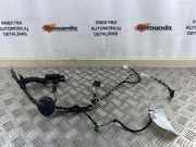 Türverkabelung hinten rechts VW PASSAT B7 ALLTRACK (365) 2.0 TDI 3G0971694F