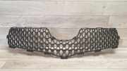 Vorderer oberer Gitter TOYOTA YARIS (_P9_) 1.4 D-4D (NLP90_)