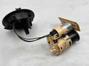Kraftstofftankpumpe MERCEDES-BENZ S (W222, V222, X222) S 500 4-matic (222.085, 222.185) A2224700094