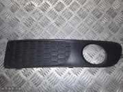 Lüftungsgitter für Stoßfänger Volvo S80 II (124) 30744114