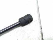 Gasfeder für Motorhaube VW Passat B6 CC (357) 3C8823359