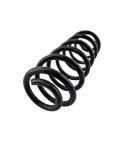 Federblatt links hinten VW Tiguan I (5N)