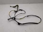 Kabelbaum NISSAN X-TRAIL (T31) 2.0 dCi GT13SSN1