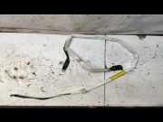 Dach SRS rechts BMW 3 Cabrio (E46) 323 Ci 981211110448 8582681648