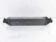 Ladeluftkühler Fiat Bravo II (198) 866455500