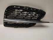 Gitter Grill vorne links MERCEDES-BENZ S (W222, V222, X222) S 350 BlueTEC / d (222.132, 222.032, 222.123) A2228850353