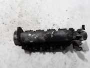 Motorkopf RENAULT TRAFIC II Furgon (FL) 1.9 dCI 100 (JL0C) 7711497322