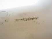 Ausgleichsbehälter HYUNDAI i30 (FD) 1.4 254292L000