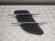 Gitter MERCEDES-BENZ SL (R231) 500 (231.473) A2317500044