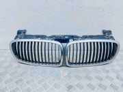 Vorderer oberer Gitter BMW 7 (E65, E66, E67) 730 Ld 7145738