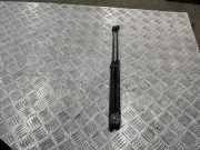 Heckklappe Gasdruckfeder links MERCEDES-BENZ C (W202) C 220 D (202.121) 2029800364