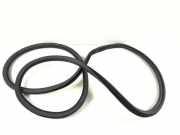 Türdichtungsgummi hinten rechts