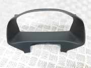 Geschwindigkeitsmesserverkleidung