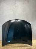 Motorhaube BMW X4 (F26) xDrive 20 d 9407724