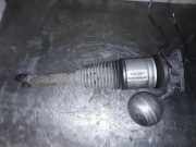 pneumatischer Stoßdämpfer hinten links