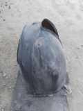 Innenkotflügel hinten links BMW 5 Touring (E39) 520 i 8159423